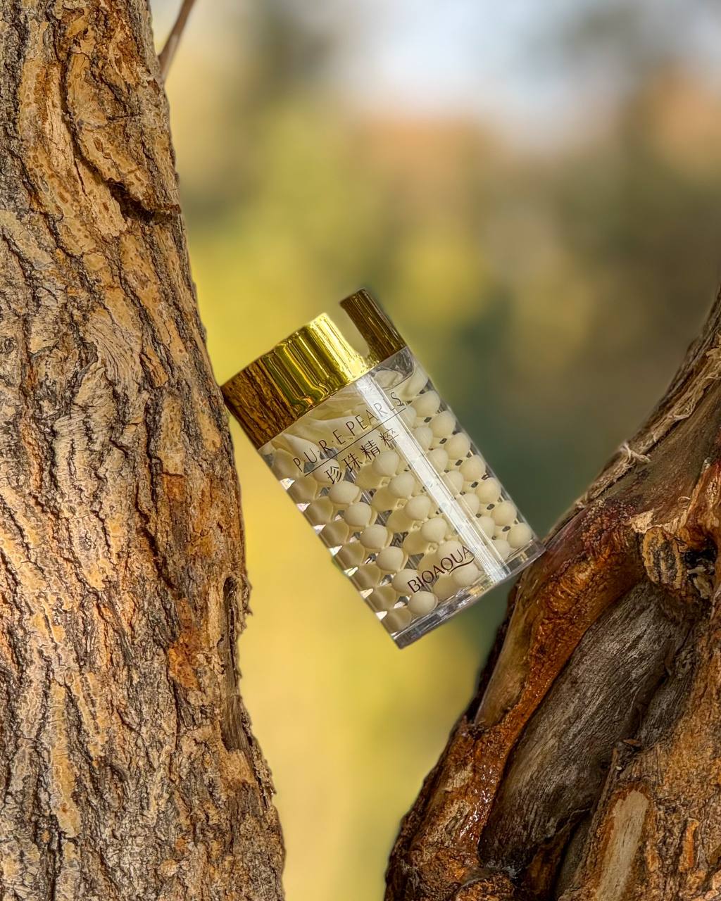 کرم جوانساز و آبرسان مروارید